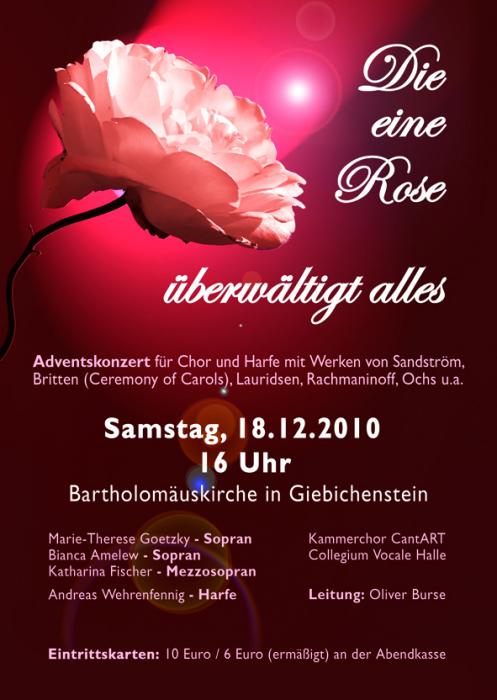 Eine Rose