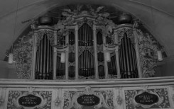 Orgel