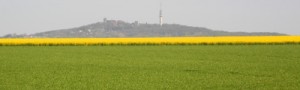 petersberg