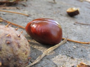 Foto: Iris Hinneburg